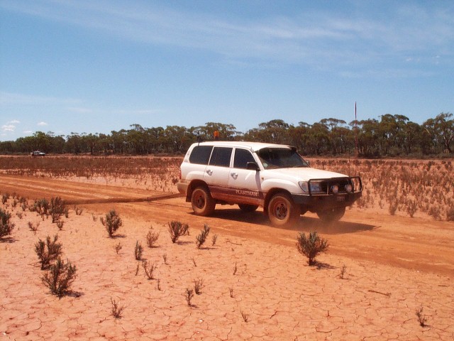 Grading in preperation for racing