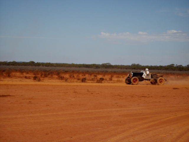 Silverwings in action